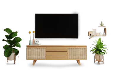 TV Console